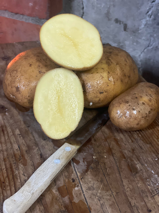 Patate bianche 1 kg